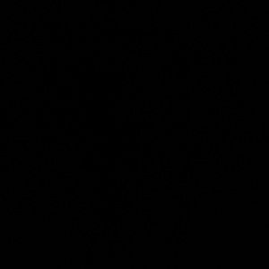 Meet your Posher, Cj